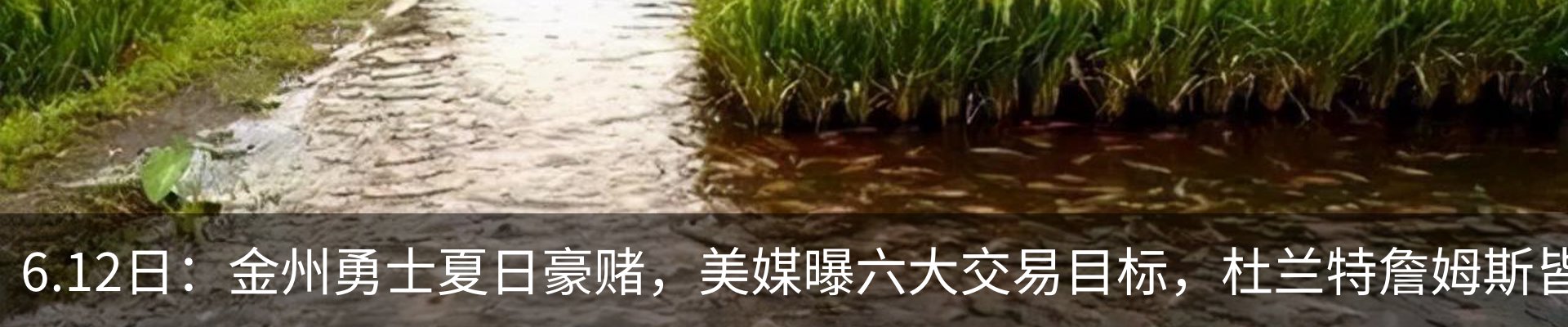 新闻中心
