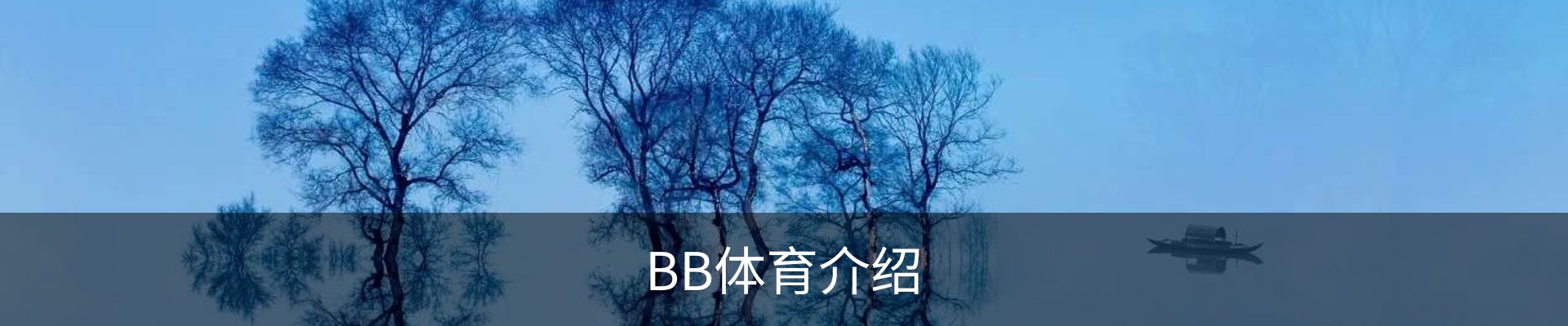 BB体育介绍